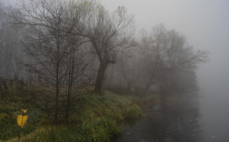 Туман в пейзажной фотографии
